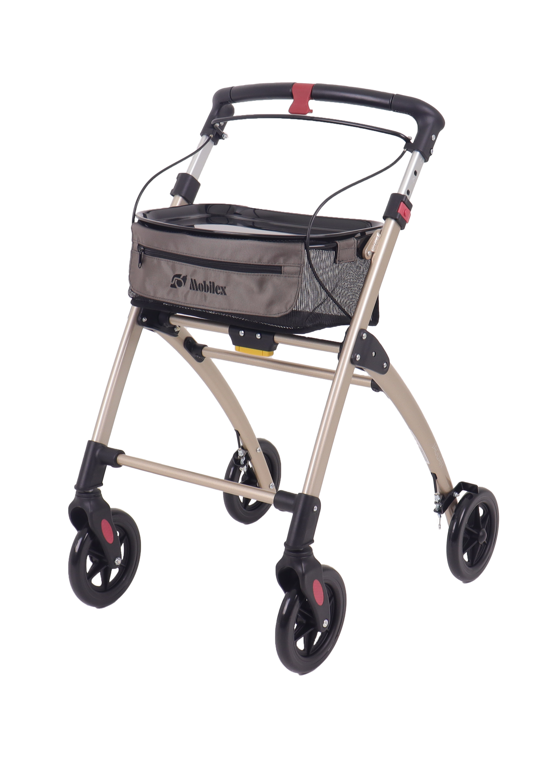 312412_2 champagne_STD_front left
